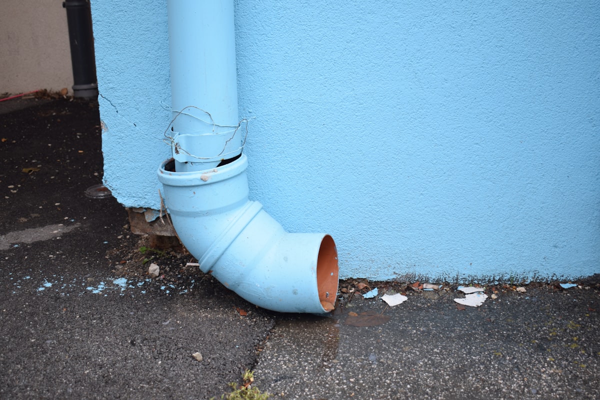 Mold Remediation service in Florissant, MO